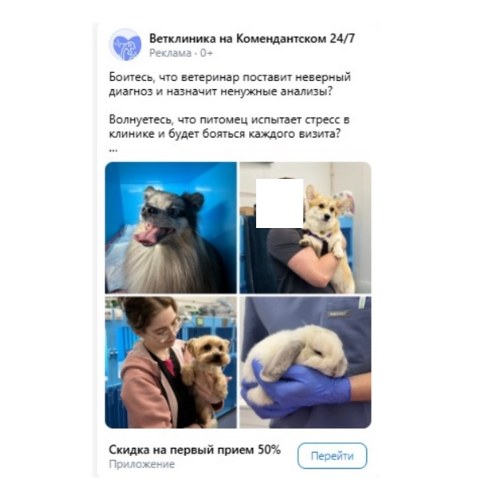 Объявление-коллаж из живых фото питомцев на приёме