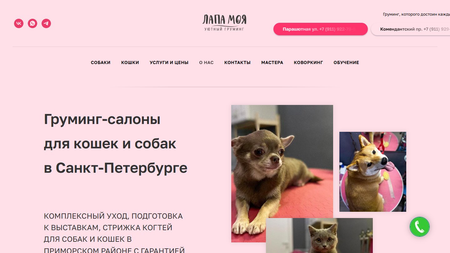 Первый экран сайта lapa-moya.ru — груминг-салоны в Санкт-Петербурге